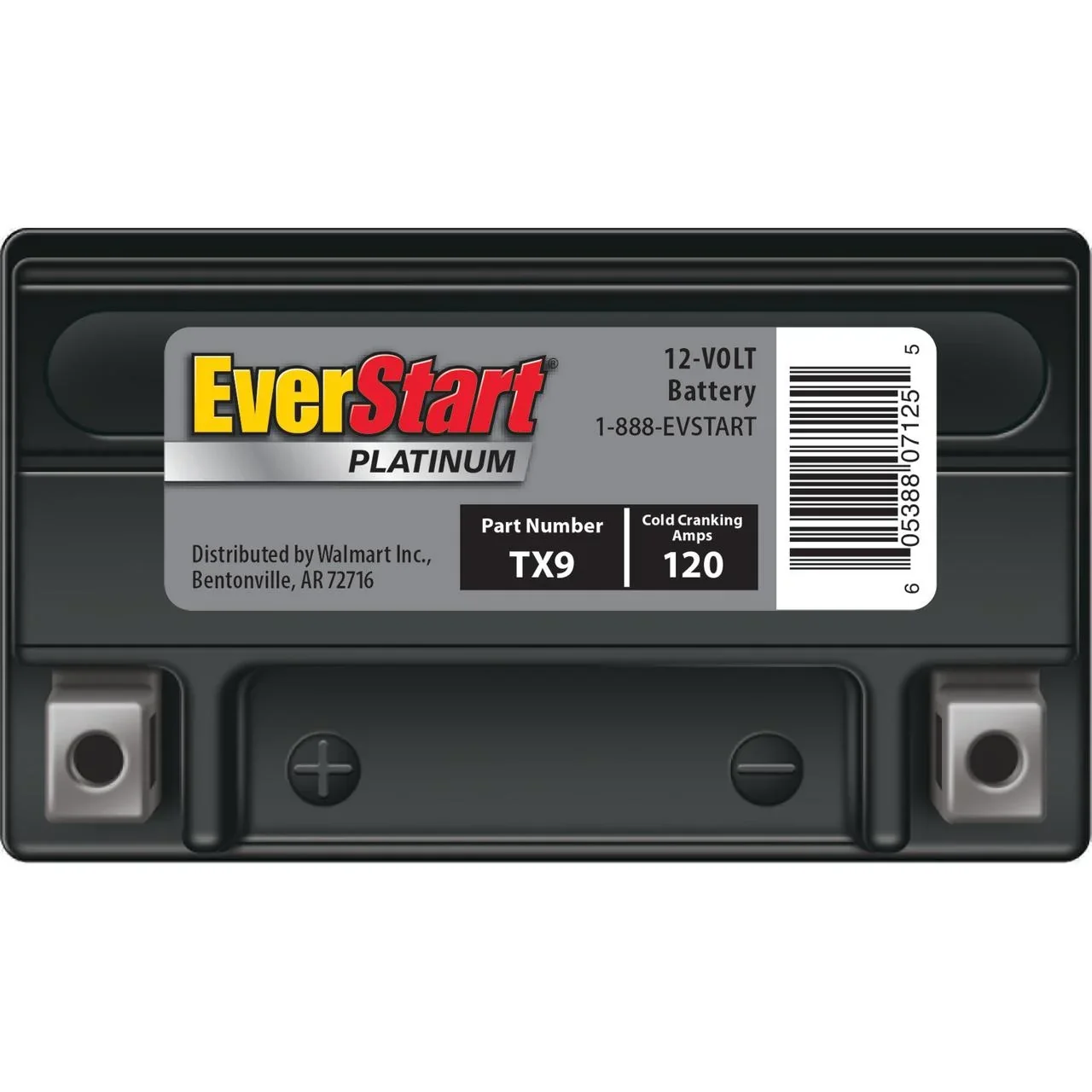 EverStart Platinum BOXED AGM Power Sport Battery, Group Size TX9 12 Volt, 120 CCA