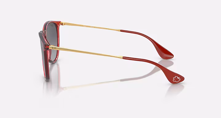Ray-Ban RB4171 ERIKA DISNEY'S MINNIE MOUSE