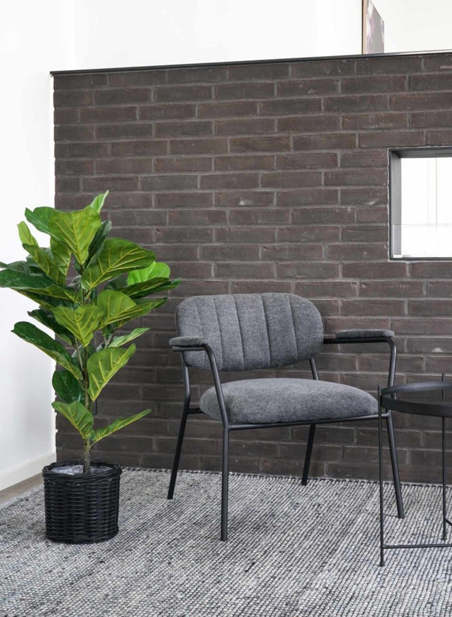 Artichok Ellen vioolblad kamerplant - 100 cm