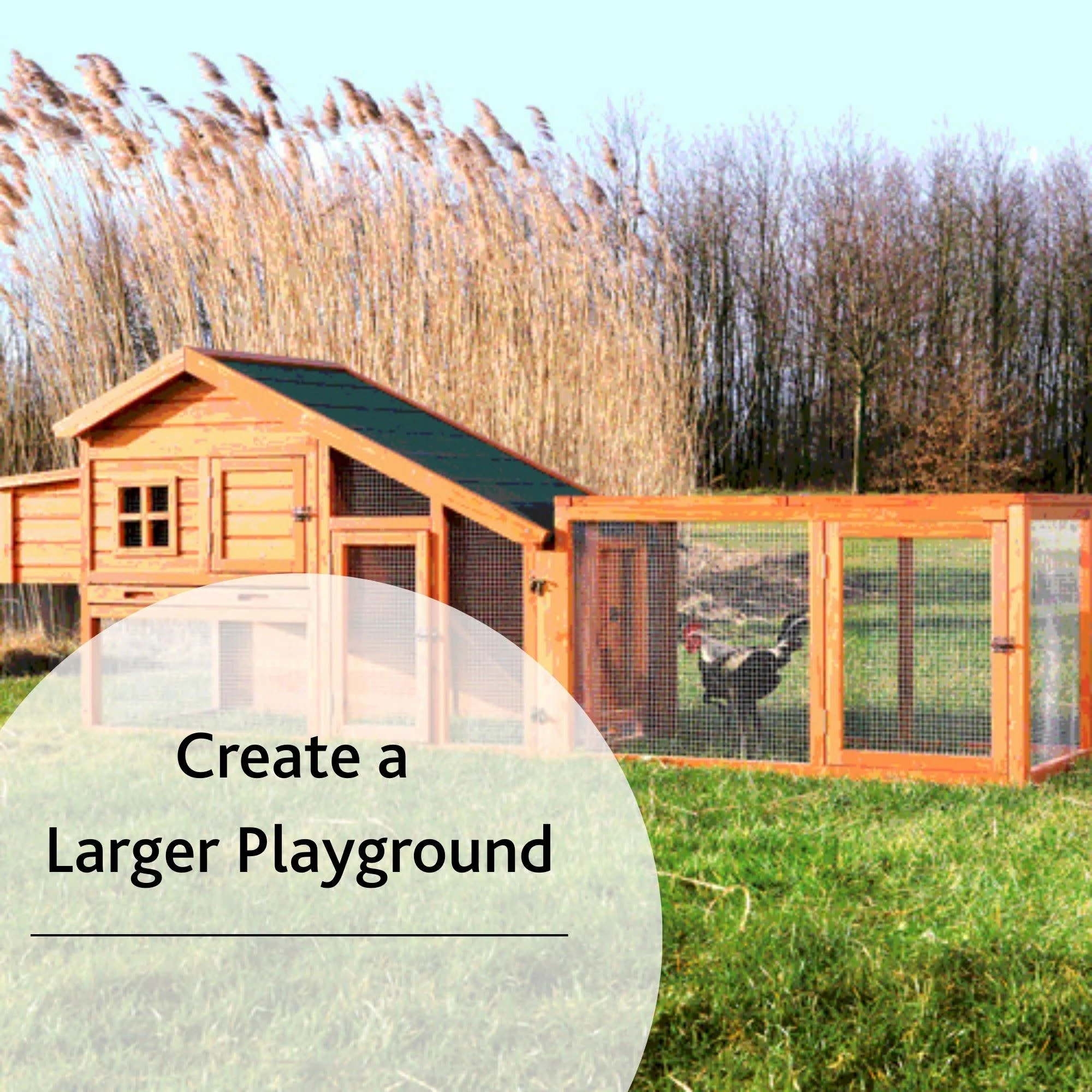 TRIXIE Weatherproof Outdoor Wooden Chicken Coop with 2 Nesting Boxes & Run, Brown - Image 9