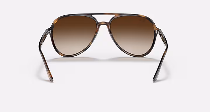 Ray-Ban RB4376