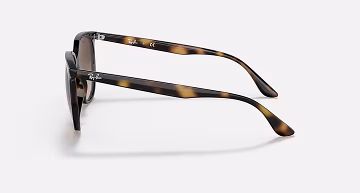 Ray-Ban RB4378