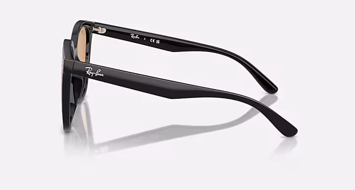 Ray-Ban RB4423D