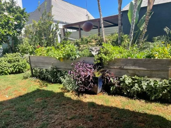 AnkerfieldSelf-Watering Eco-Stained Elevated Planter Box