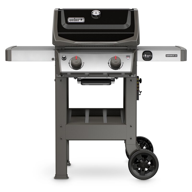 WAYFAIR Weber Spirit II E-210 Liquid Propane, Black