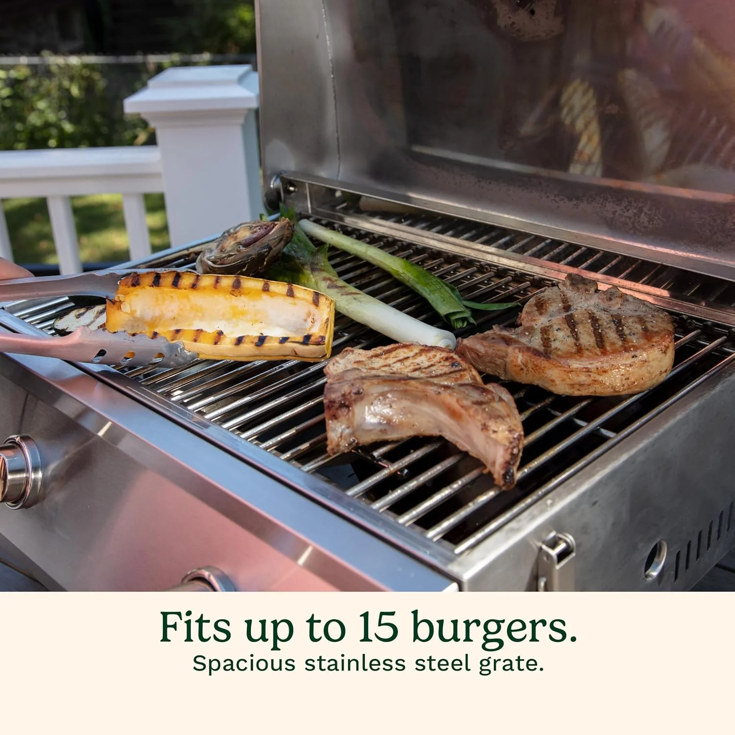 Cuisinart Chef Style Tabletop Portable Propane Grill 2 Burner Outdoor Gas Grill