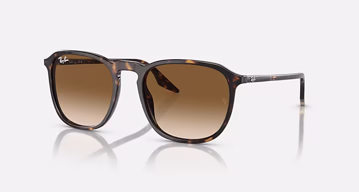 Ray-Ban RB2203