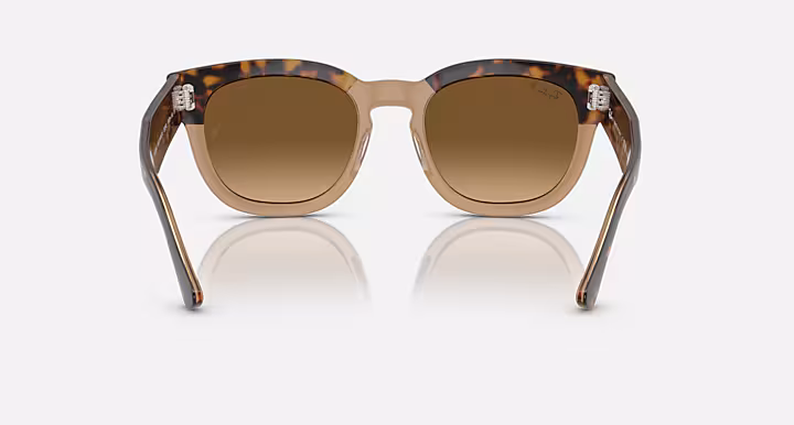 Ray-Ban MEGA HAWKEYE