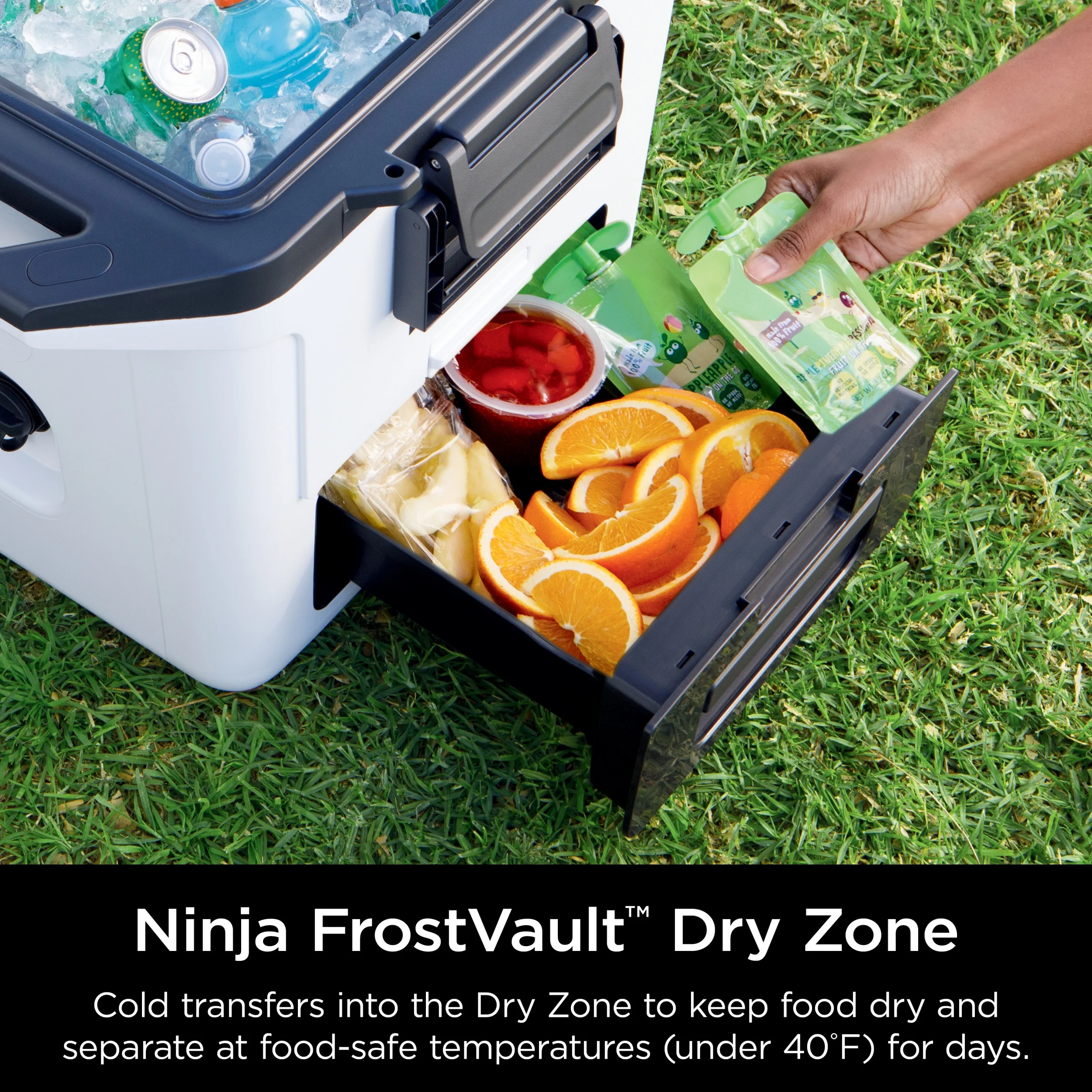 Ninja FrostVault 30qt Hard Cooler with Dry Zone, Ice Chest Cooler, White, FB131WH - Image 4