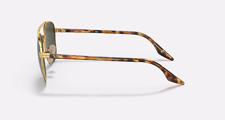 Ray-Ban RB3688