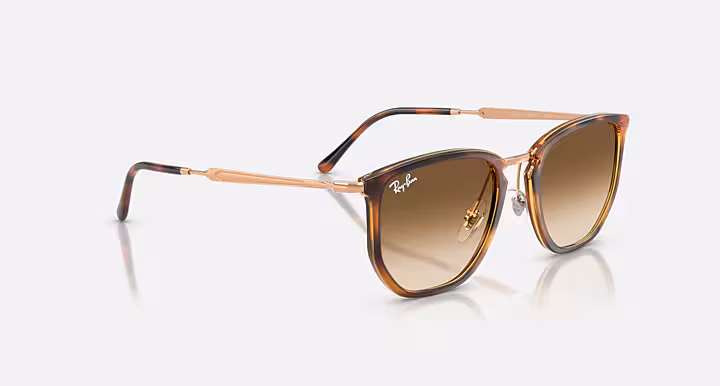 Ray-Ban RB4451