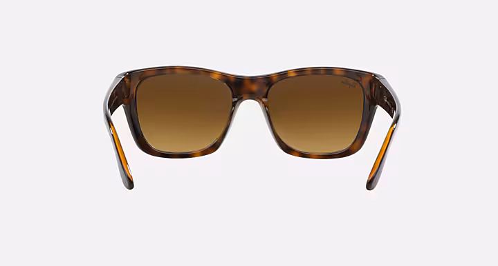 Ray-Ban RB4194